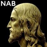 n.a.bible android application logo